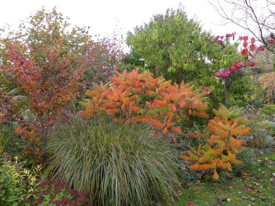 2022-10-21 Gartenimpressionen 2.jpg