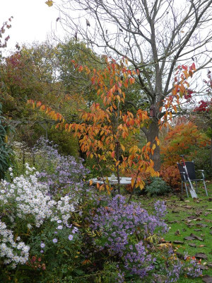 2022-10-21 Gartenimpressionen 3.jpg