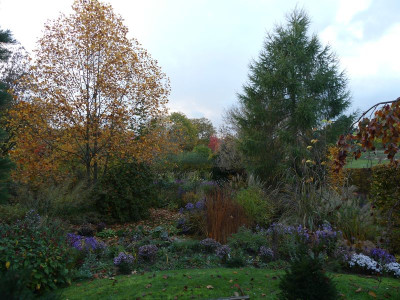2022-10-22 Gartenimpressionen 1.jpg