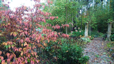 IMG_20221022_164426.jpg