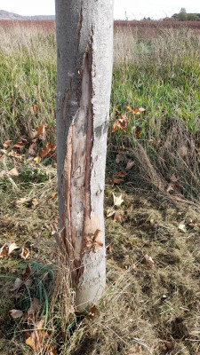 IMG-20221020-WA0012.jpeg