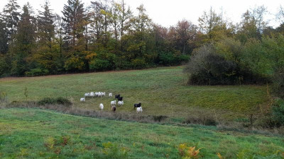 IMG-20221024-WA0070.jpeg
