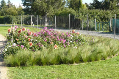 Landesgartenschau Beelitz 2022 1448.jpg