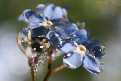 Mai_2008.jpg