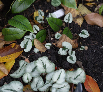DSC_6572_DxO.jpg