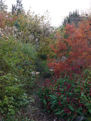 2022-10-28 Gartenimpressionen 2.jpg