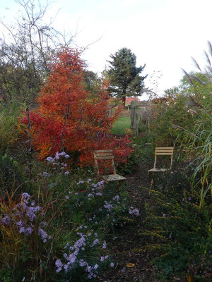 2022-10-28 Gartenimpressionen 3.jpg