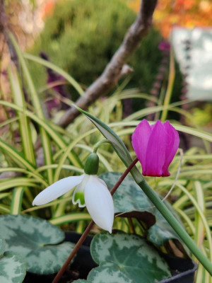 IMG_20221029_130719_Bokeh.jpg