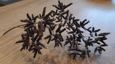 IMG-20221030-WA0002.jpeg
