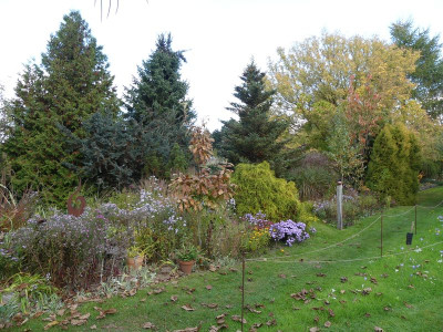 2022-10-14 Garteneinblick 3.jpg