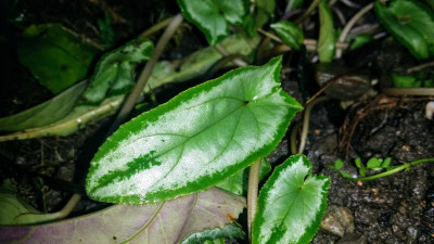20191024_173356.jpg