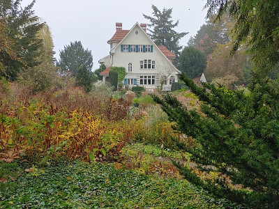 Foerster20221031_133546_HDR.jpg