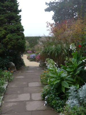 2022-10-31 Foerstergarten 6.jpg