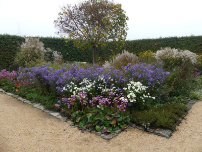 2022-10-31 Foerstergarten 5.jpg