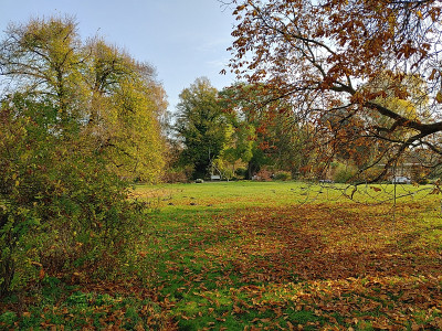 Freundschaftsinsel20221031_111817_HDR.jpg