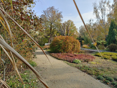 Freundschaftsinsel20221031_112715_HDR.jpg