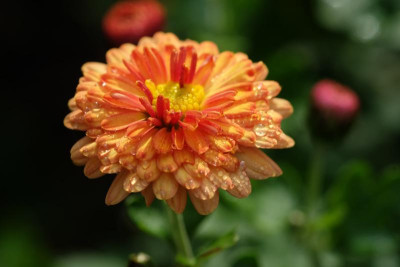 DSCF7058.JPG