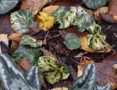 DSC_6672_DxO.jpg