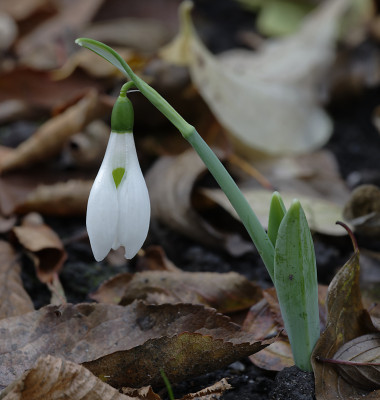 DSC_6664_DxO.jpg