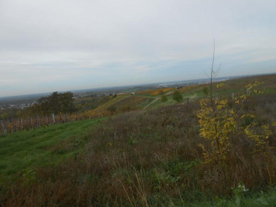 DSCN5095.JPG