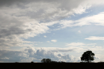 Wolke-Sieben-b.jpg