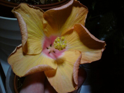 DSC07006.JPG