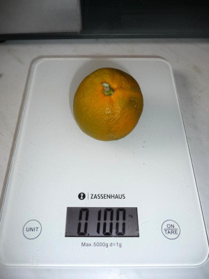 Satsuma.jpg