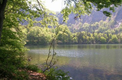 DSCN8445_laudachsee.jpg