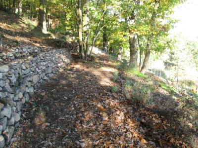 neues Waldstück 2022113_04.JPG