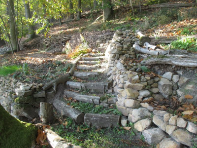 Holztreppe im Wald 20221113.JPG