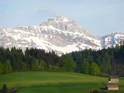 Saentis.13.05.2008.05.JPG