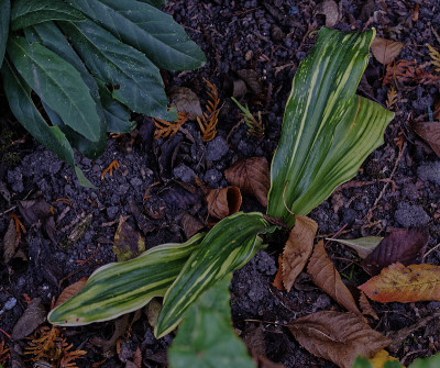 DSC_6679_DxO.jpg