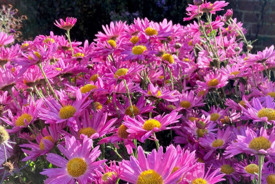 image4(3)(1).jpeg