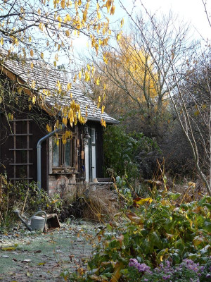 2022-11-19 Gartenimpressionen 6.jpg