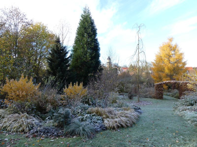 2022-11-19 Gartenimpressionen 11.jpg