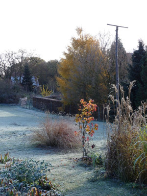 2022-11-19 Gartenimpressionen 17.jpg