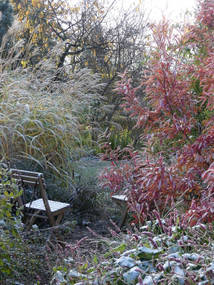 2022-11-19 Gartenimpressionen 16.jpg