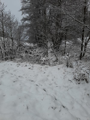 20221121_150305.jpg