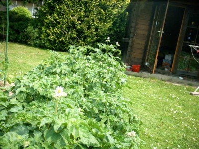 IMAG0040.jpg