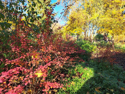 20221123_141203.jpg