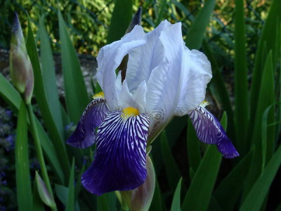 14.5.2008_17-34-51_0076.jpg