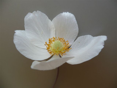 15.05.2008.50.JPG