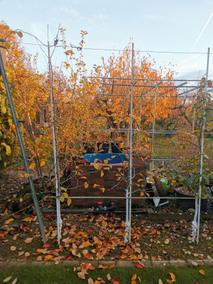 Indian Summer 20221125.jpeg