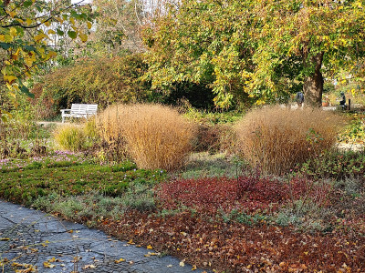 Freundschaftsinsel20221031_111552_HDR.jpg