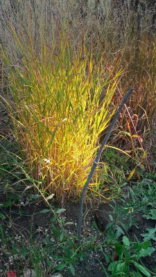 WP_20221126_15_04_49_Pro.jpg