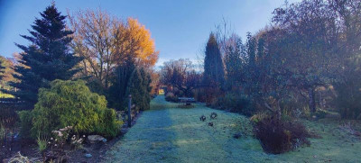 2022-11-27 Gartenimpressionen 2.jpg