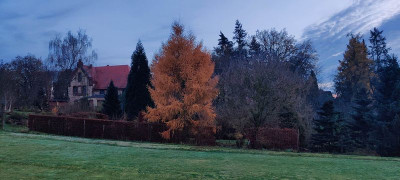 2022-11-27 Gartenimpressionen 1.jpg