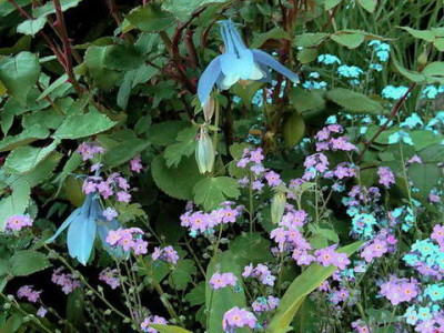 Kopie_von_8.5.2008_06-32-21_0111.jpg