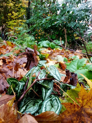 20221127_083604.jpg