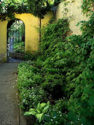 Kopie_von_12.5.2008_07-46-53_0033.jpg